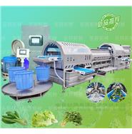 智能渦流清洗脫水線/渦流洗菜機/蔬菜清洗脫水機 (視頻) 智能渦流清洗脫水線/渦流洗菜機/蔬菜清洗脫水機 (視頻)